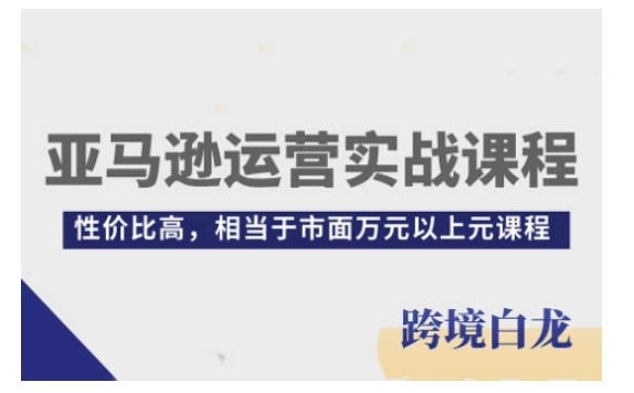 亚马逊运营实战课程，亚马逊从入门到精通，性价比高，相当于市面万元以上元课程-511资料网