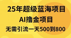 25年超级蓝海项目一天800+，半搬砖项目，不需要引流-511资料网
