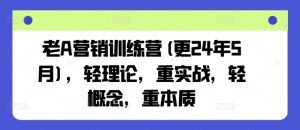 老A营销训练营(更24年12月)，轻理论，重实战，轻概念，重本质-511资料网