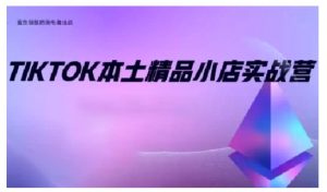 TikTok本土精品小店出海实战营，从入门到高阶，不止0-1!-511资料网