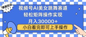 视频号蓝海赛道玩法，当天起号，拉爆流量收益，小白也能轻松月入30000+-511资料网