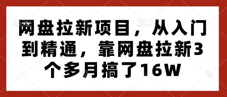 网盘拉新项目，从入门到精通，靠网盘拉新3个多月搞了16W-511资料网
