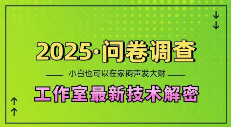 2025问卷调查最新工作室技术解密：一个人在家也可以闷声发大财，小白一天2张，可矩阵放大【揭秘】-511资料网