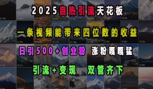 2025自热引流天花板，一条视频能带来四位数的收益，引流+变现双管齐下，日引500+创业粉，涨粉嘎嘎猛-511资料网