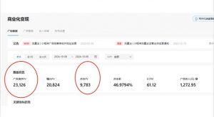 抖音雪花无人直播，一天躺赚3000+，0粉手机可搭建，不违规不限流，小白...-511资料网