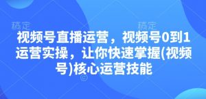 视频号直播运营，视频号0到1运营实操，让你快速掌握(视频号)核心运营技能-511资料网