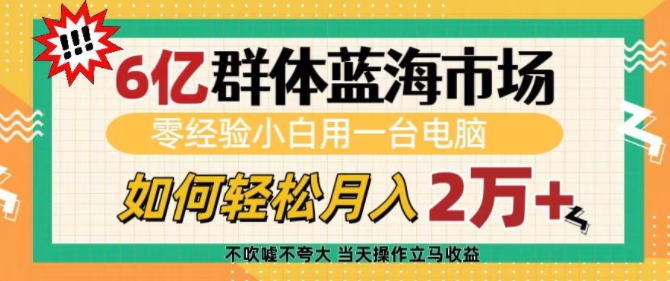 6亿群体蓝海市场，零经验小白用一台电脑，如何轻松月入过w【揭秘】-511资料网