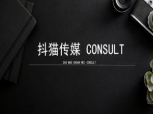 抖猫学院小红书聚光详细操作流程实操-511资料网