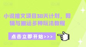 小说推文项目38天计划，剪辑与搬运多种玩法教程-511资料网