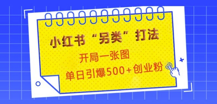 小红书“另类”打法，开局一张图，单日引爆500+精准创业粉【揭秘】-511资料网
