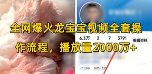 全网爆火龙宝宝视频全套操作流程，播放量2000万+-511资料网