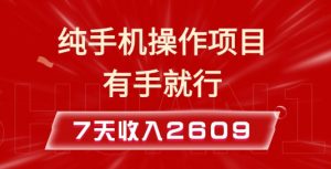 纯手机操作的小项目，有手就能做，7天收入2609+实操教程【揭秘】-511资料网