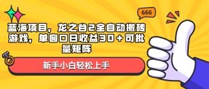 蓝海项目，龙之谷2全自动搬砖游戏，单窗口日收益30＋可批量矩阵-511资料网