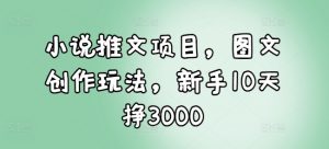 小说推文项目，图文创作玩法，新手10天挣3000-511资料网