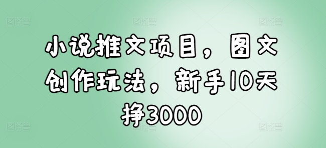 小说推文项目，图文创作玩法，新手10天挣3000-511资料网