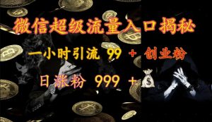 微信超级流量入口揭秘:一小时引流 99 + 创业粉,日涨粉 999 +-511资料网