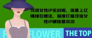 顶流女性IP实战班,流量上亿情绪引爆法,深度打磨顶流女性IP硬核基本功-511资料网