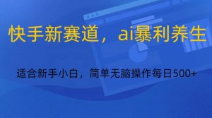 快手新赛道，ai暴利养生，0基础的小白也可以操作轻松日入500+-511资料网