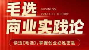 毛选商业实践论，读透《毛选》掌握创业必胜密匙-511资料网