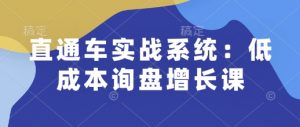 直通车实战系统:低成本询盘增长课,让个人通过技能实现升职加薪,让企业低成本获客,订单源源不断-511资料网