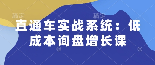 直通车实战系统:低成本询盘增长课,让个人通过技能实现升职加薪,让企业低成本获客,订单源源不断-511资料网