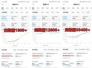 拼多多虚拟店铺项目，电脑挂机自动发货，单店日利润300+-511资料网