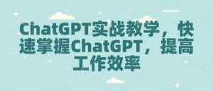 ChatGPT实战教学，快速掌握ChatGPT，提高工作效率-511资料网