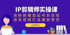 IP剪辑师实操课：涨粉跑模型起号到变现，挂车视频打造爆款带货-511资料网
