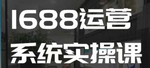 1688高阶运营系统实操课，快速掌握1688店铺运营的核心玩法-511资料网