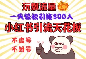 小红书引流天花板,玩爆流量,一天轻松引流300人,安全操作-511资料网