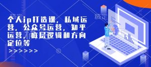 个人ip打造课，私域运营，公众号运营，知乎运营，底层逻辑和方向定位等-511资料网