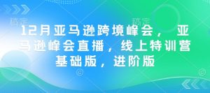 12月亚马逊跨境峰会， 亚马逊峰会直播，线上特训营基础版，进阶版-511资料网