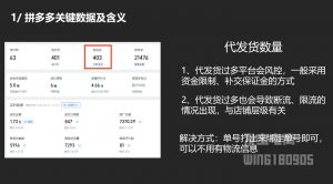 纪主任·拼多多年费会员(更新2025年1月)-511资料网