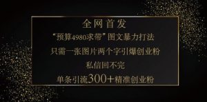 小红书神奇图片引流法，只需一张图，就能单条笔记凭借此方法，轻松引流 300 + 精准创业粉-511资料网