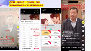 书阳老师·短剧运营变现之路-511资料网