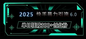 2025年快手6.0保姆级教程震撼来袭，单日狂吸300+精准创业粉-511资料网