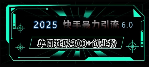 2025年快手6.0保姆级教程震撼来袭，单日狂吸300+精准创业粉-511资料网