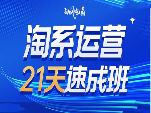 淘系运营21天速成班35期，年前最后一波和2025方向-511资料网