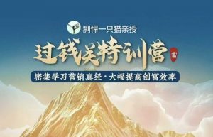 剽悍一只猫-过钱关特训营，学习营销真经 大幅度提高创富效率-511资料网