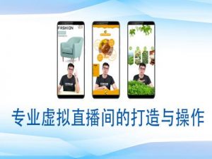 个人虚拟直播间的搭建与操作，专业虚拟直播间的打造与操作-511资料网
