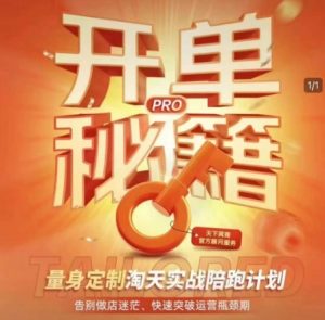 淘宝开单秘籍PRO，量身定制淘天实战陪跑计划，告别做店迷茫、快速突破运营瓶颈期-511资料网
