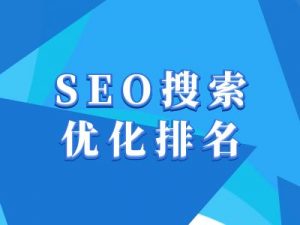抖音搜索SEO教程，抖音SEO搜索优化排名-511资料网