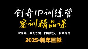 2025年“知识付费IP训练营”小白避坑年赚百万，暴力引流，闪电成交-511资料网