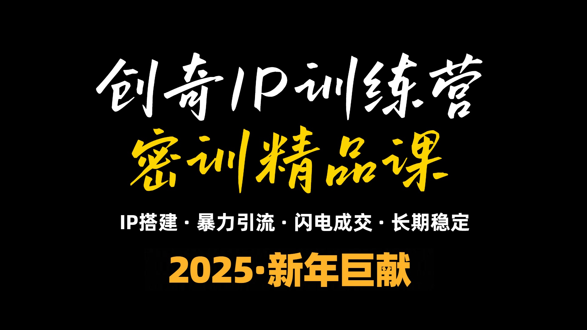 2025年“知识付费IP训练营”小白避坑年赚百万，暴力引流，闪电成交-511资料网