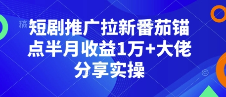 短剧推广拉新番茄锚点半月收益1万+大佬分享实操-511资料网