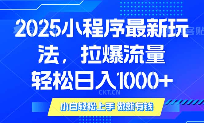 2025年小程序最新玩法，流量直接拉爆，单日稳定变现1000+-511资料网