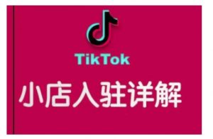 TikTok跨境小店运营全攻略，帮助你独立运营TK跨境小店的能力，实现销量增长-511资料网
