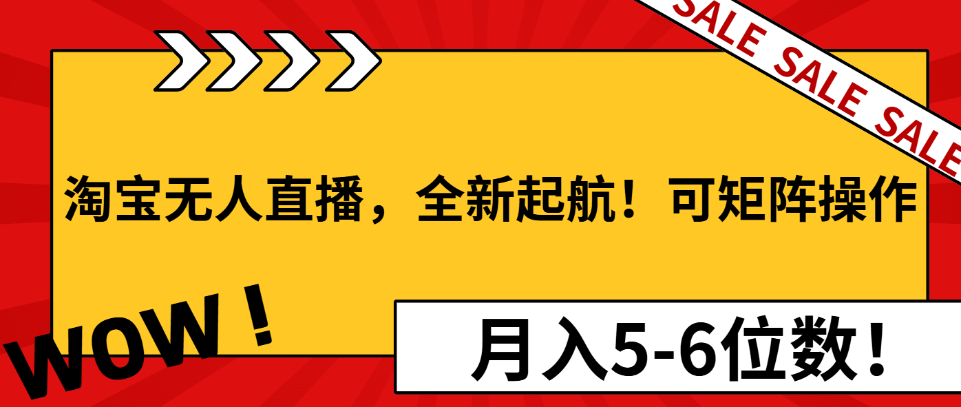 淘宝无人直播，全新起航！可矩阵操作，月入5-6位数！-511资料网