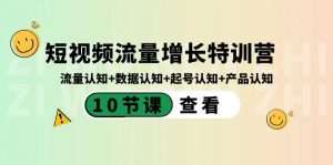 短视频流量增长特训营：流量认知+数据认知+起号认知+产品认知（10节课）-511资料网
