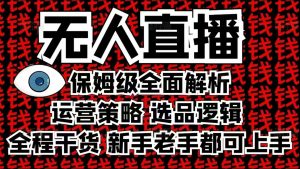 2025无人直播这么做就对了，保姆级全面解析，全程干货，新手老手都可上手-511资料网
